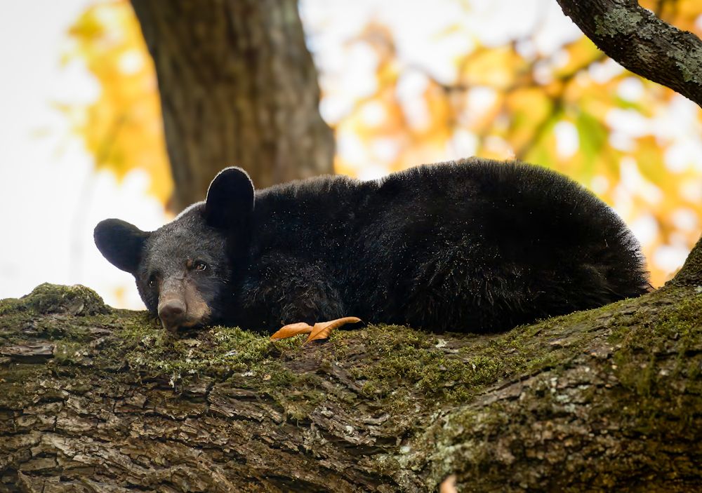Photograph by Sarah Jane Moore