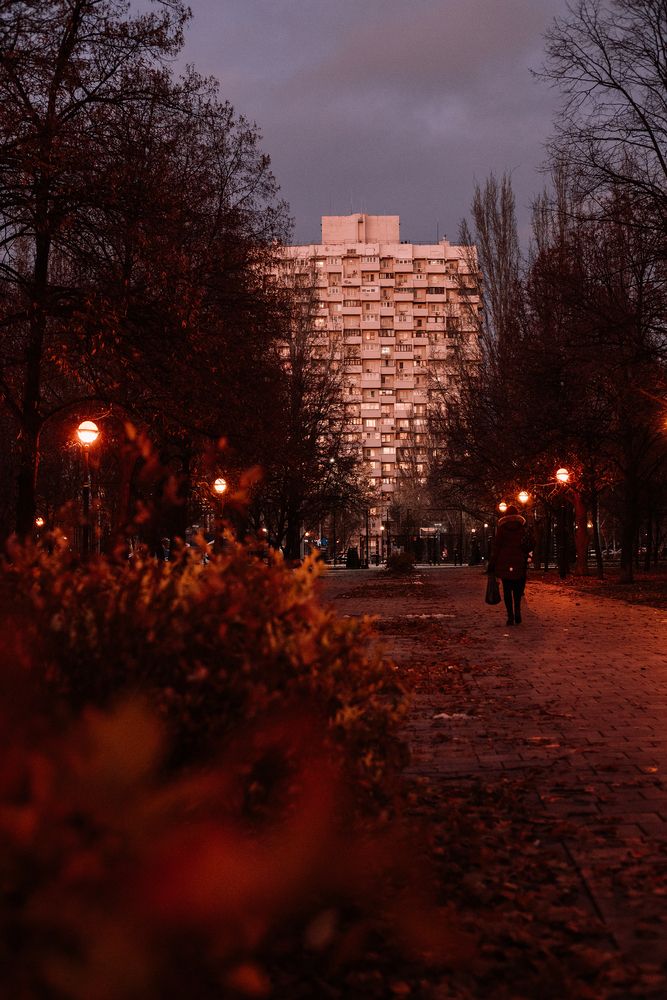 Фотография автора Дарина Фельдман