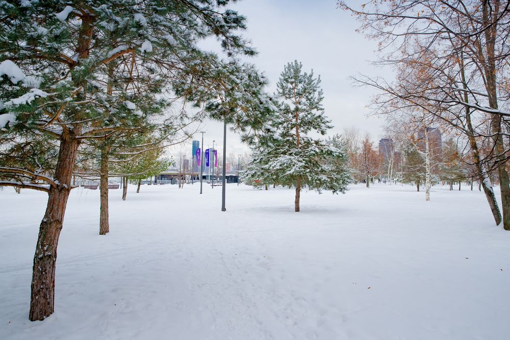 Photograph by Владимир Говоров