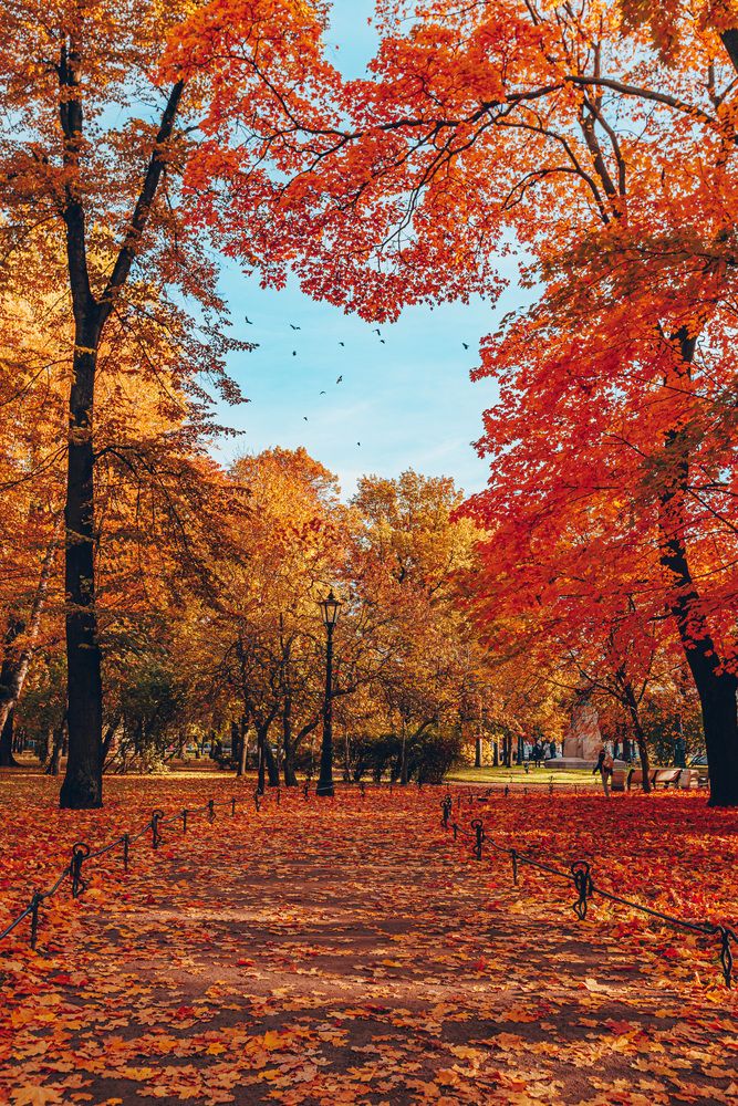 Фотография автора Rom@shkin