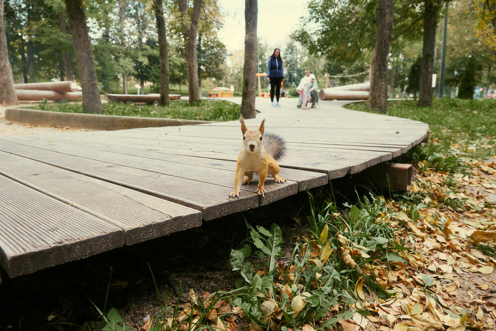 Photograph by Некрасов Денис