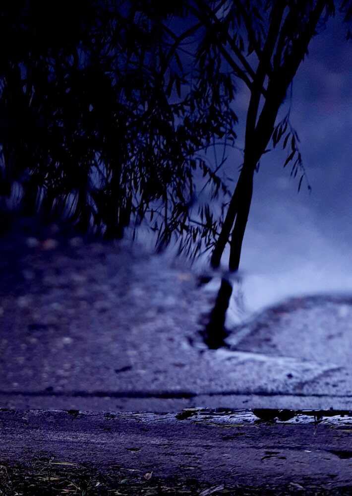 Фотография автора Юлия Юрьевна