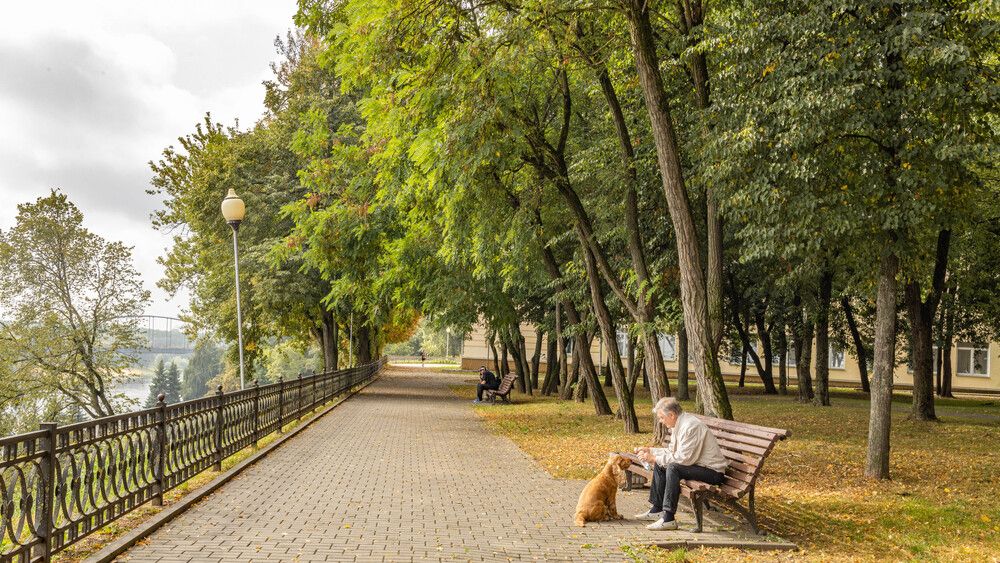 Фотография автора Екатерина Счасная