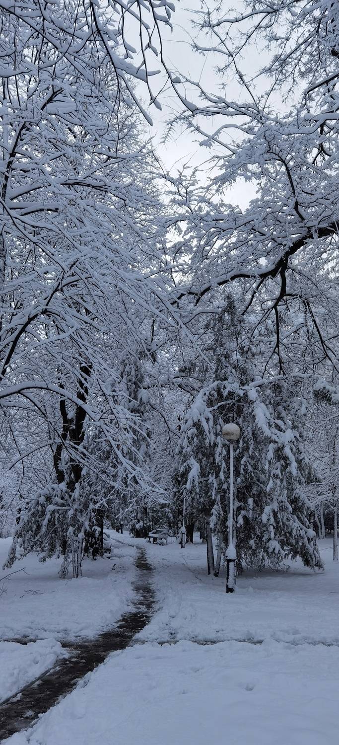 Зима в Краснодаре