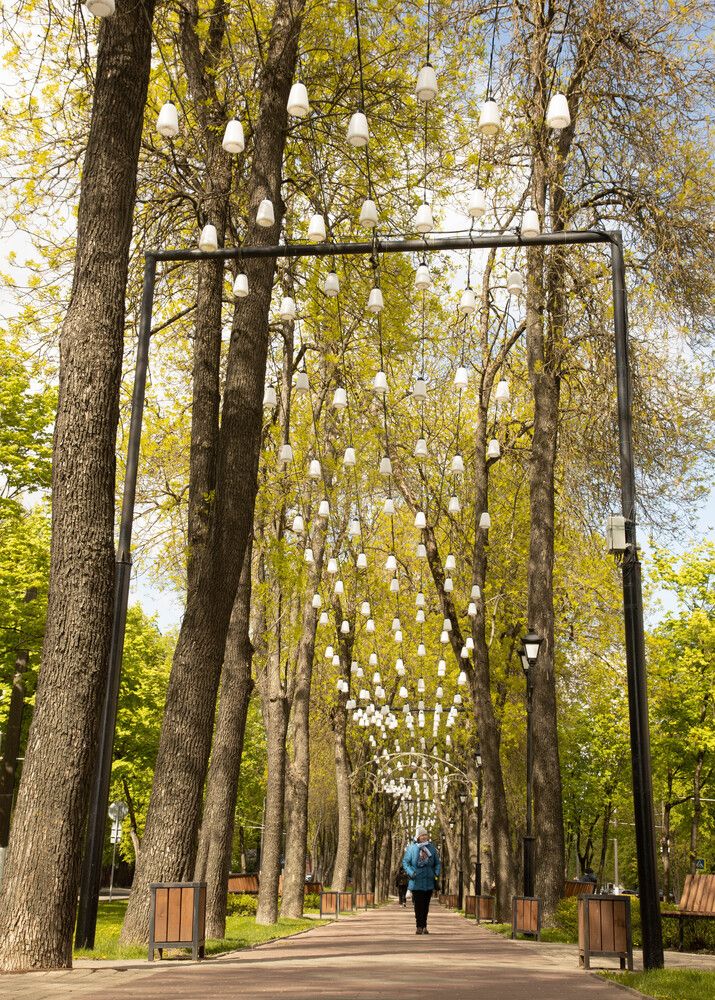 Фотография автора Екатерина Счасная