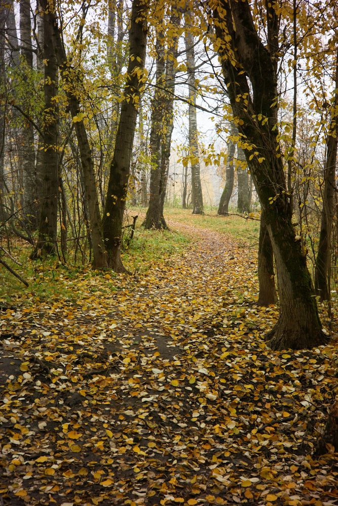 Photograph by Алексей Соймин