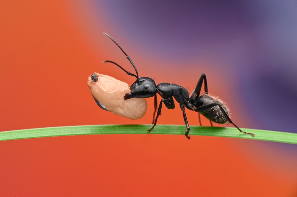 Photograph by Tsvetan Ganev