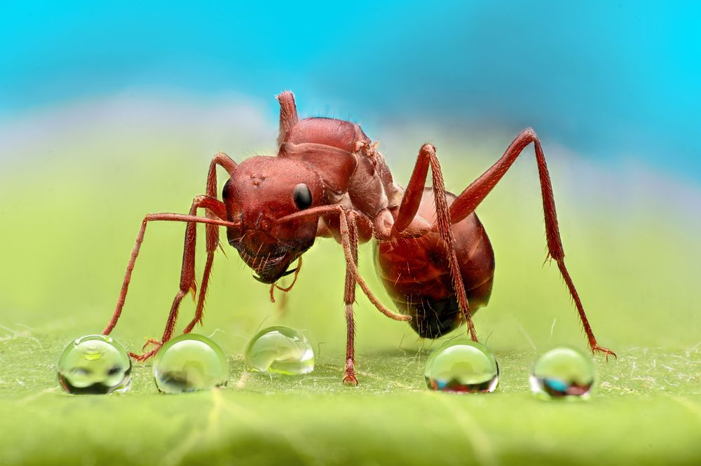 Photograph by Tsvetan Ganev
