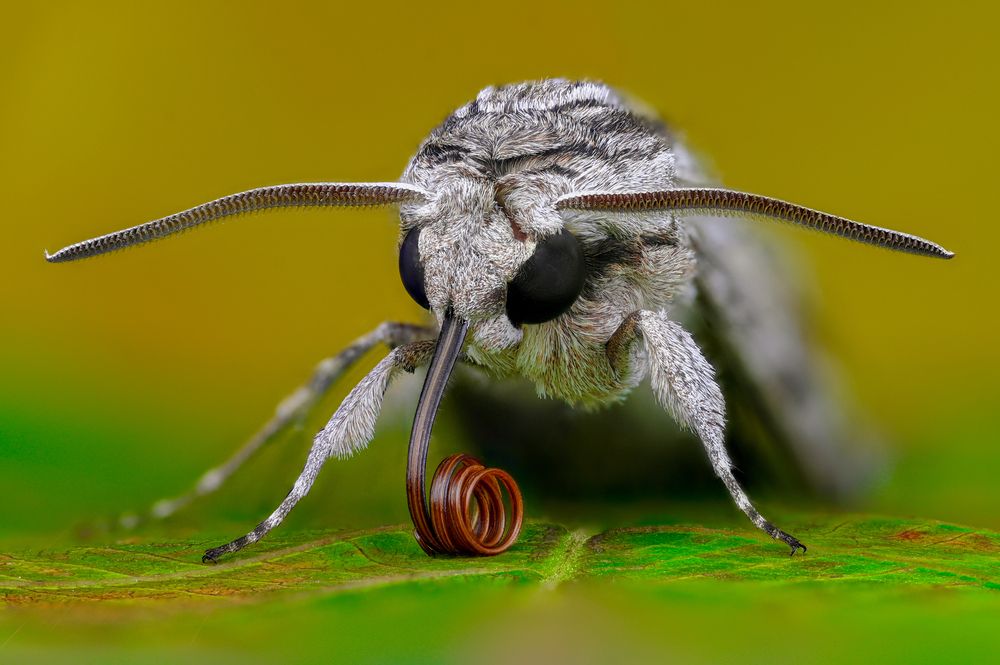 Photograph by Tsvetan Ganev