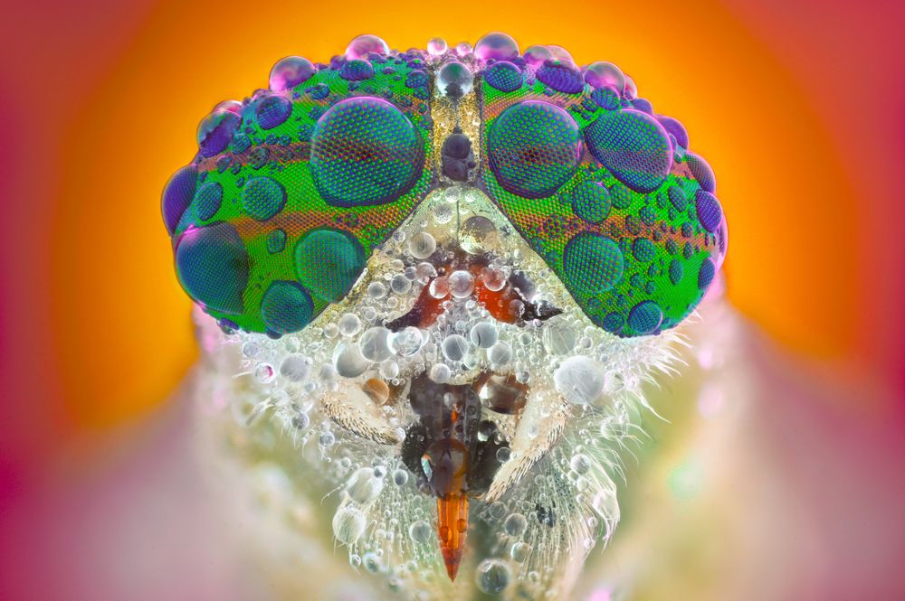 Photograph by Tsvetan Ganev