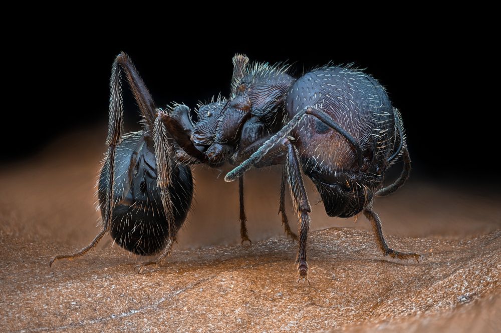 Photograph by Tsvetan Ganev