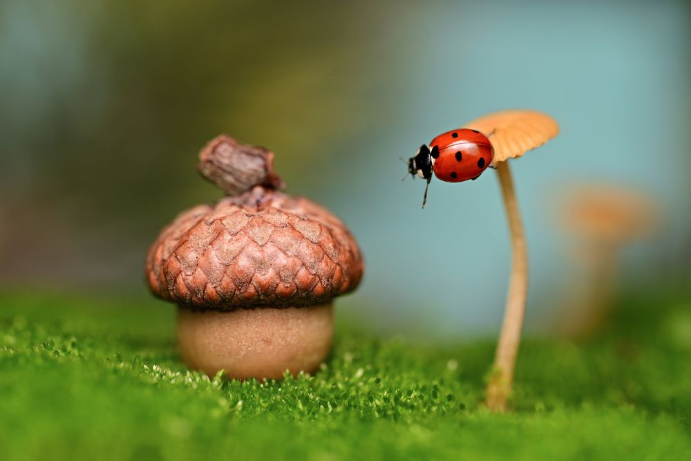 Photograph by Tsvetan Ganev