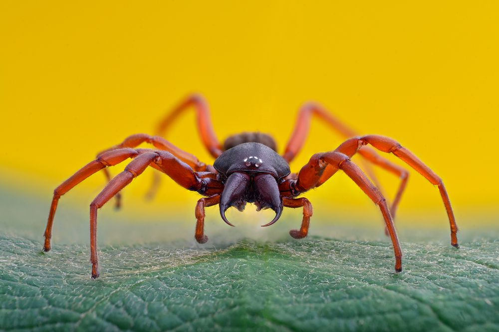 Photograph by Tsvetan Ganev