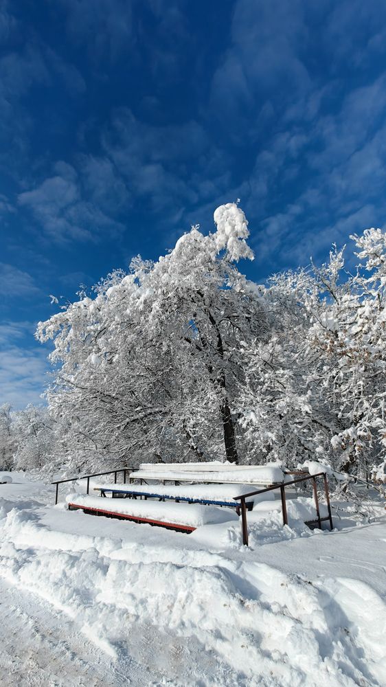 Photograph by Кристина Дугина