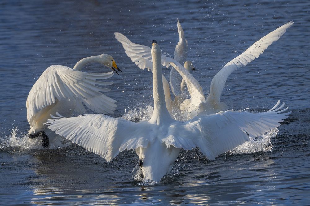 Photograph by Евгений Санин
