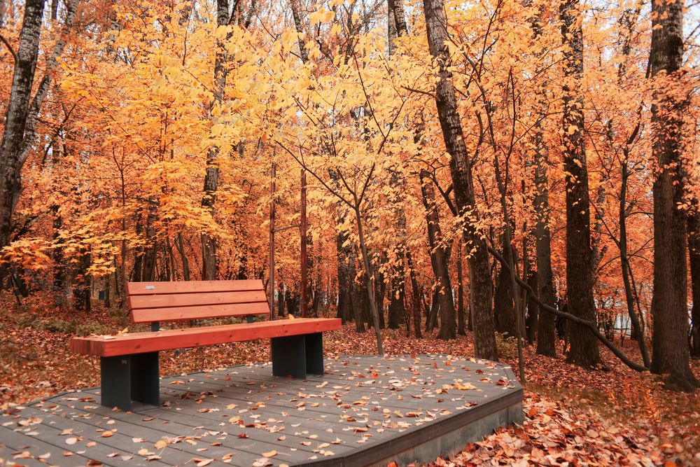 Photograph by Алексей Соймин