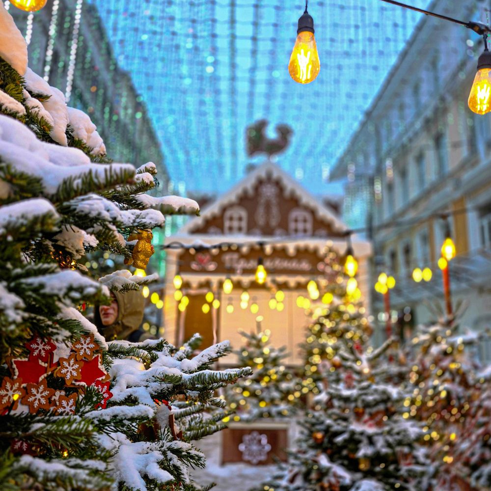 Фотография автора Ольга