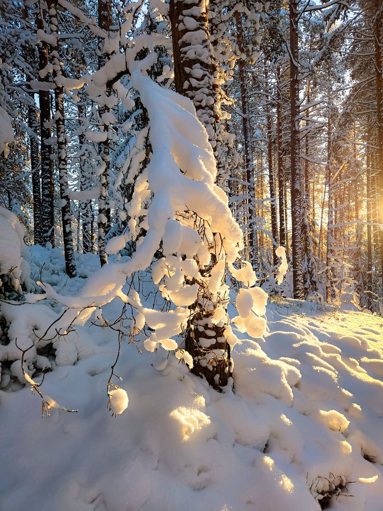 Photograph by Inna Evseeva