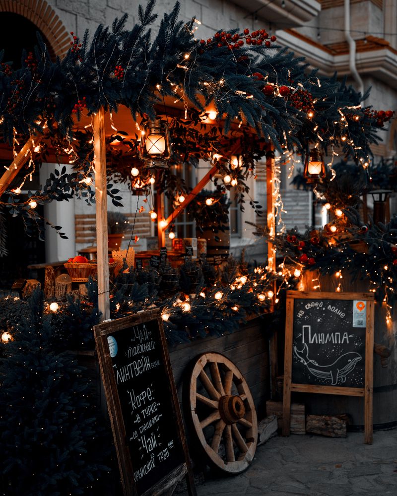 Фотография автора Юлия Вишневская