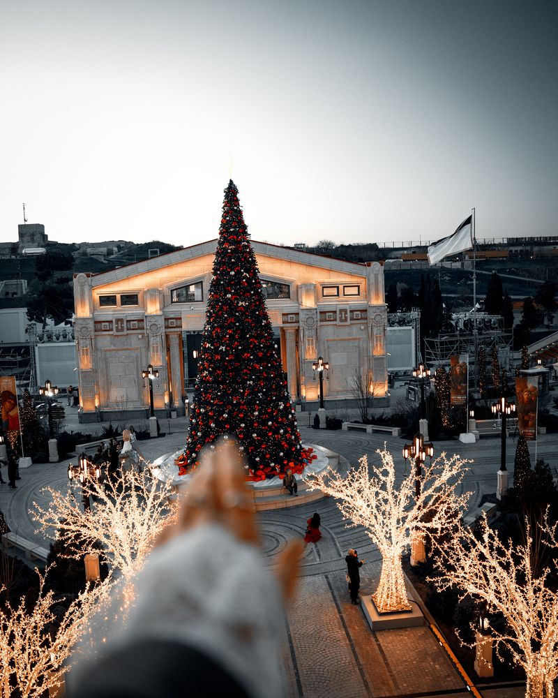 Фотография автора Юлия Вишневская