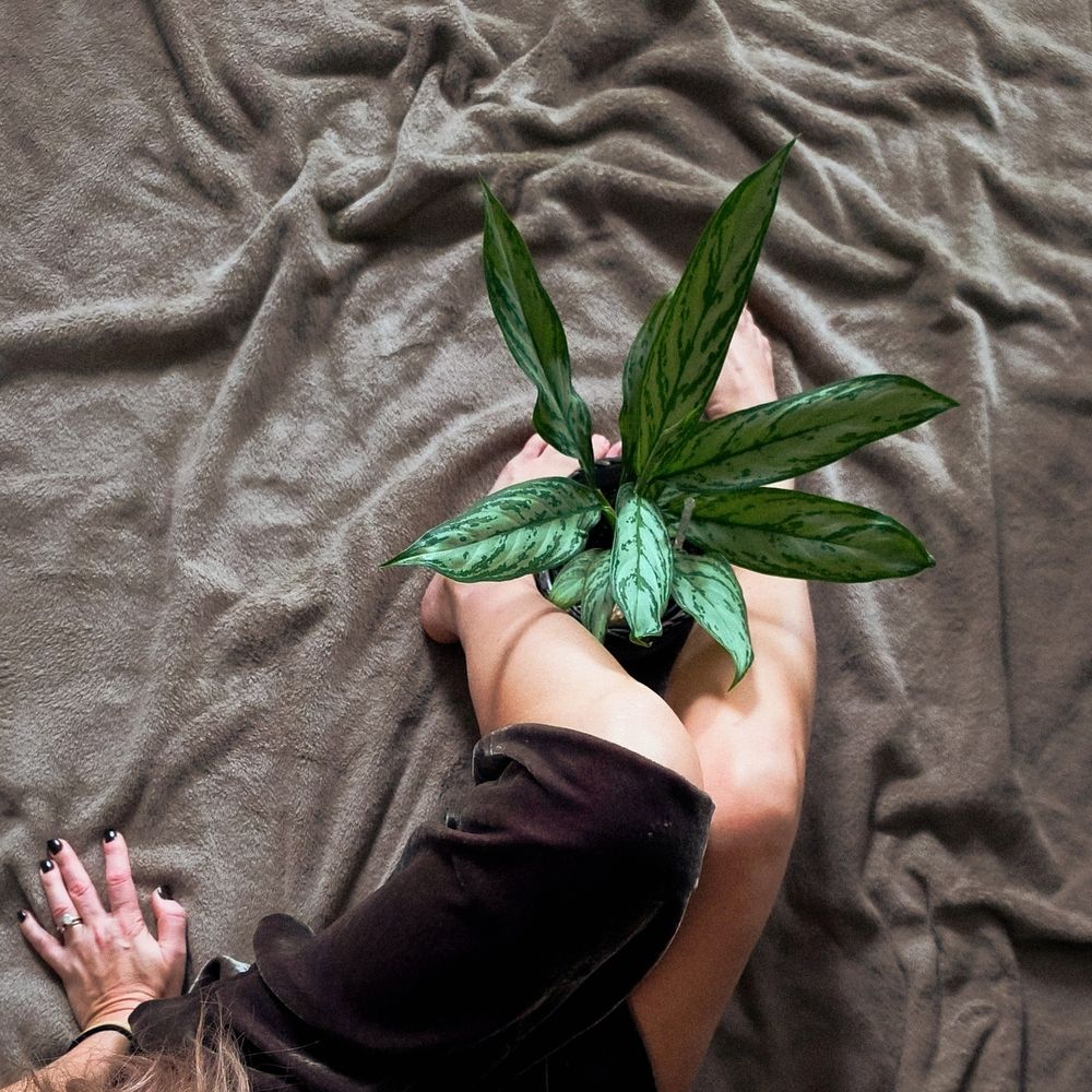 Фотография автора Наталья Силантьева