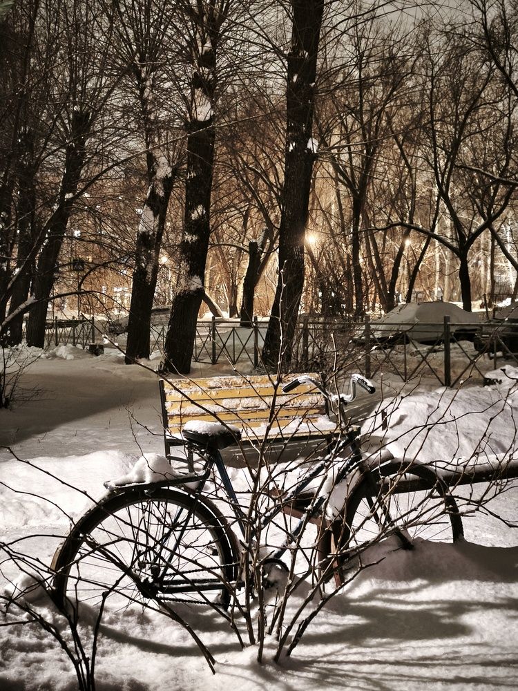 Фотография автора Наталья Силантьева