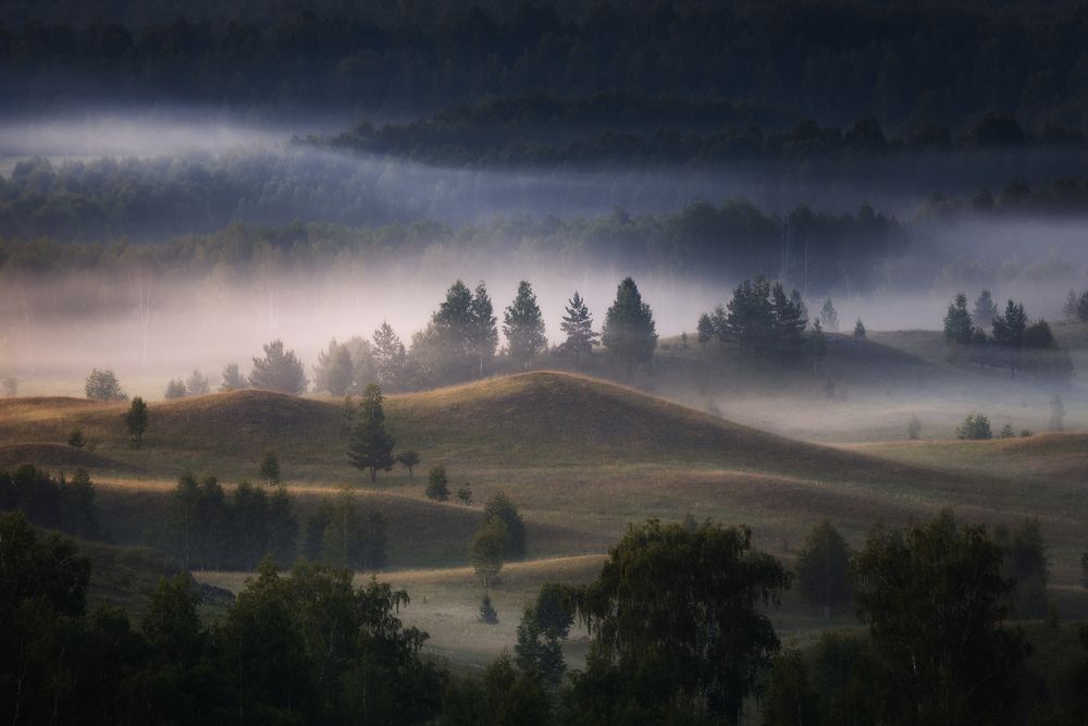 Photograph by Татьяна Бирюкова