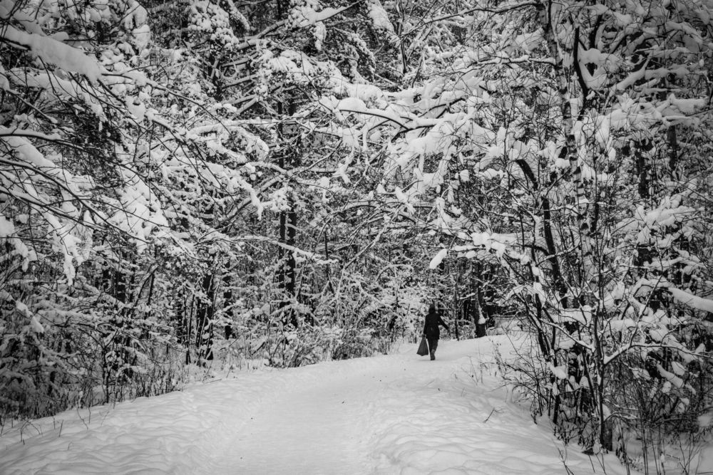 Photograph by Pavel Gukov