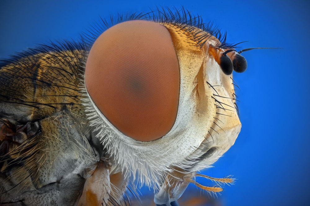 Photograph by Tsvetan Ganev