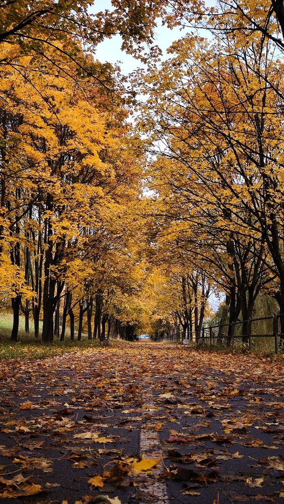 Photograph by Eugenia Blinova