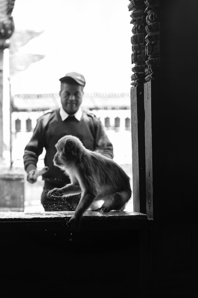 Photograph by Елена Гридневская