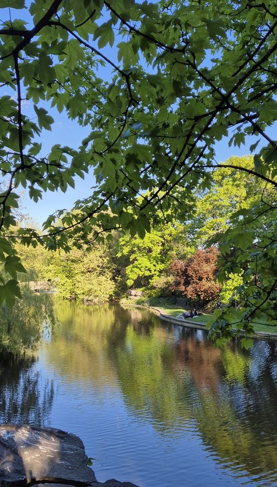 Фотография автора Juliana Pedevilla