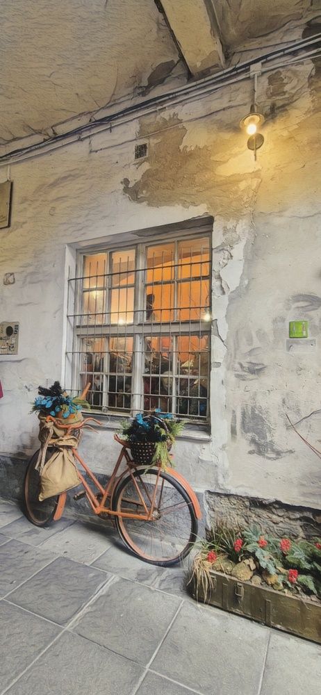 Фотография автора Juliana Pedevilla