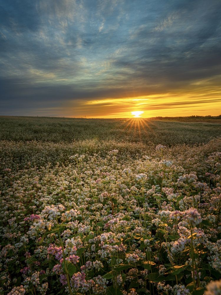 Photograph by Александр Кузнецов