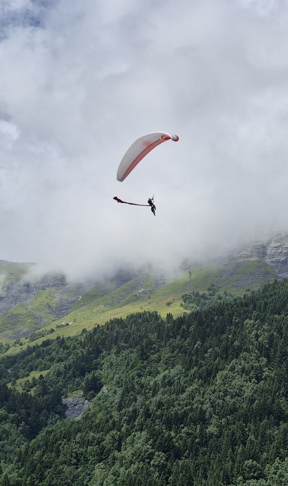 Фотография автора Juliana Pedevilla