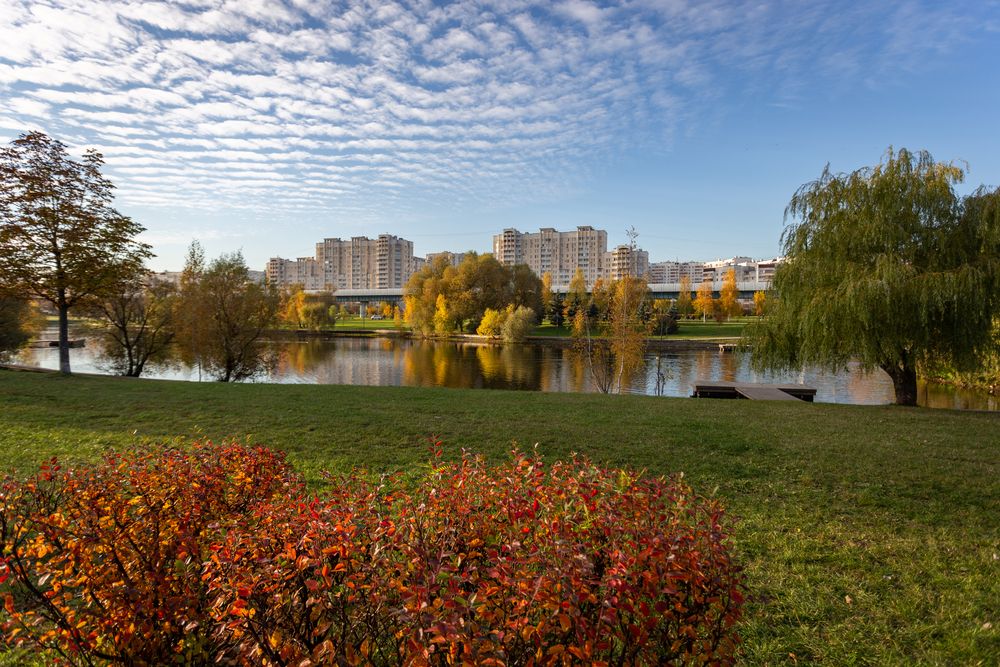 Фотография автора Витас Черняускас