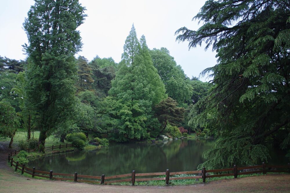 Photograph by Konstantin Cherniaev