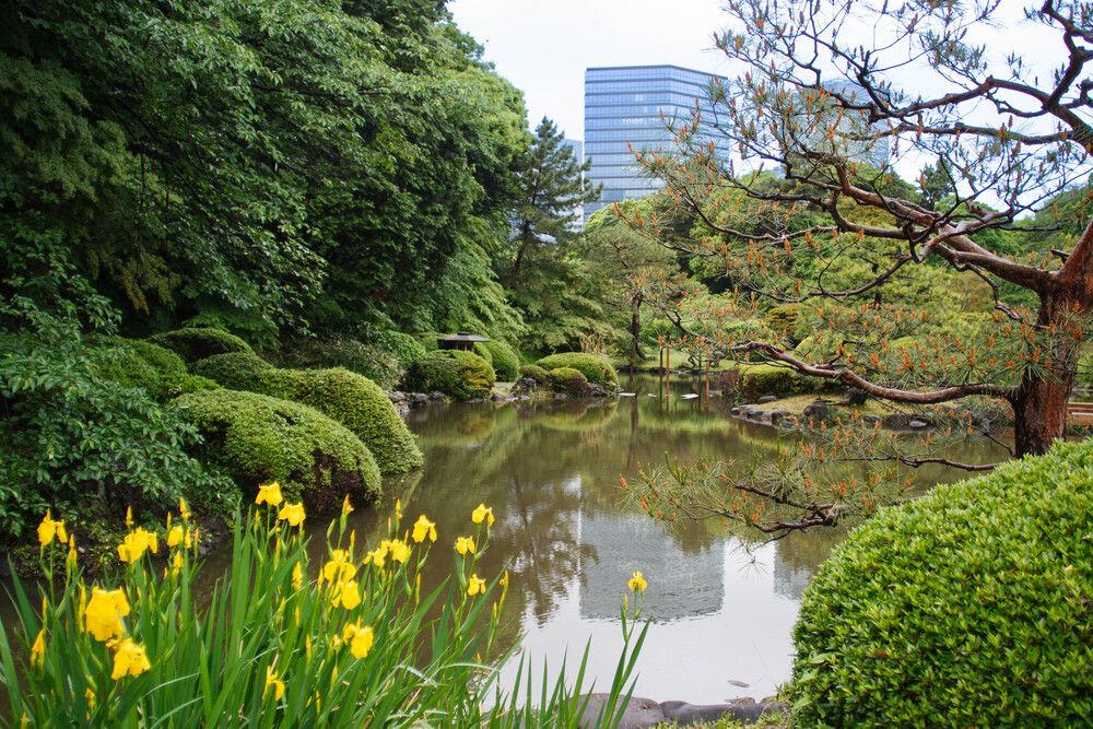 Photograph by Konstantin Cherniaev