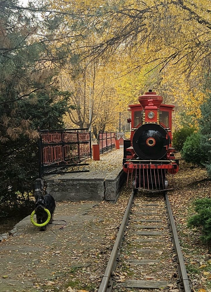 Photograph by Эльвира