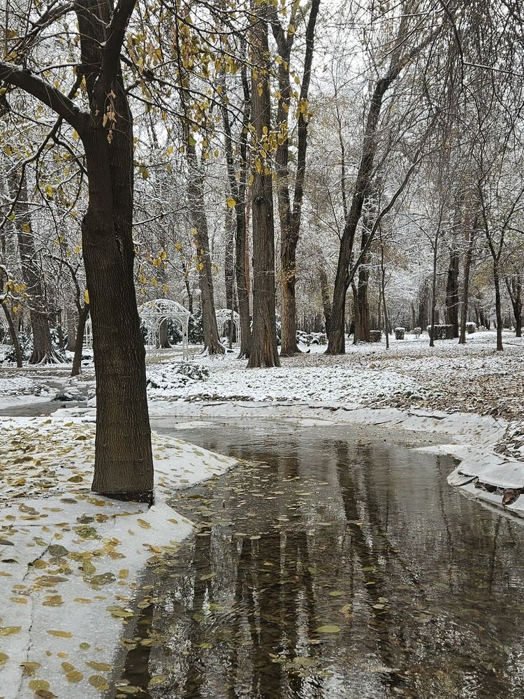 Photograph by Эльвира