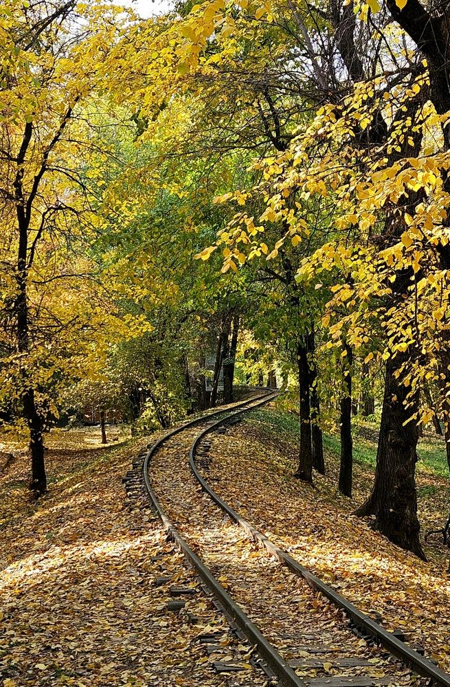 Photograph by Эльвира