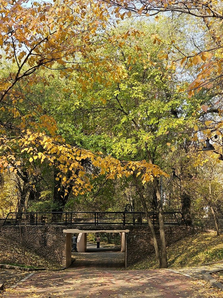 Photograph by Эльвира