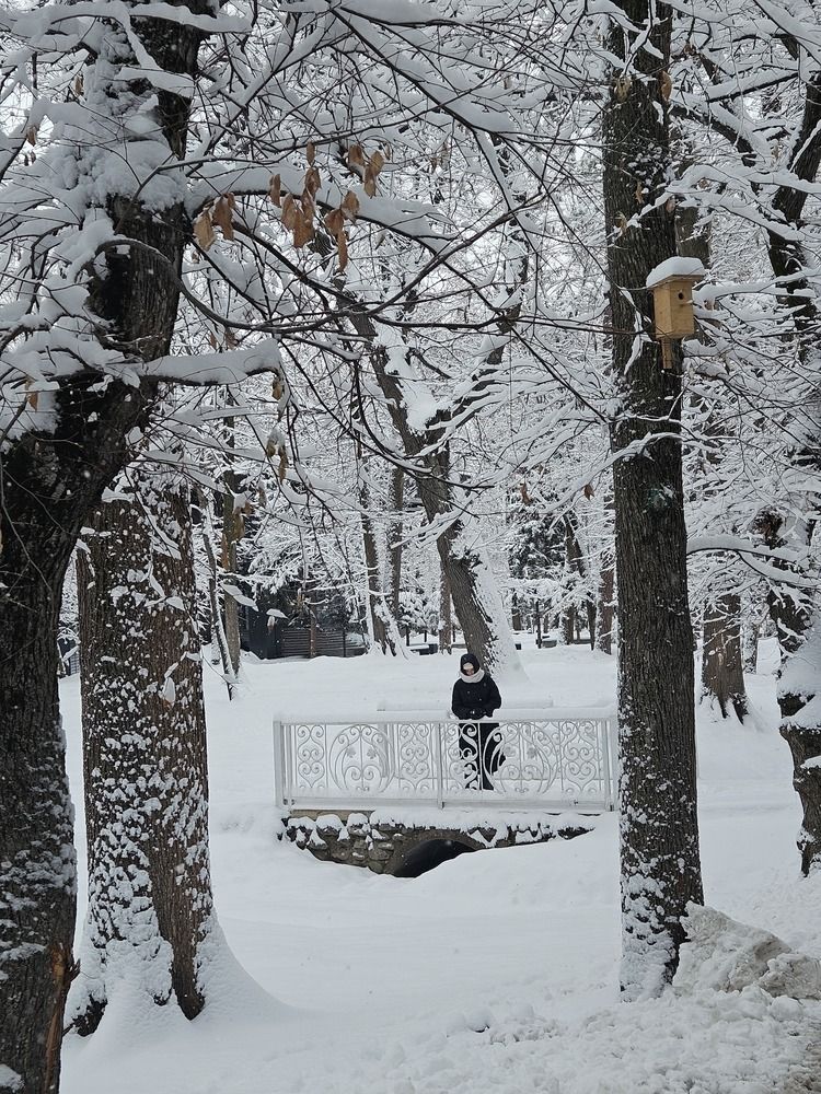 Photograph by Эльвира