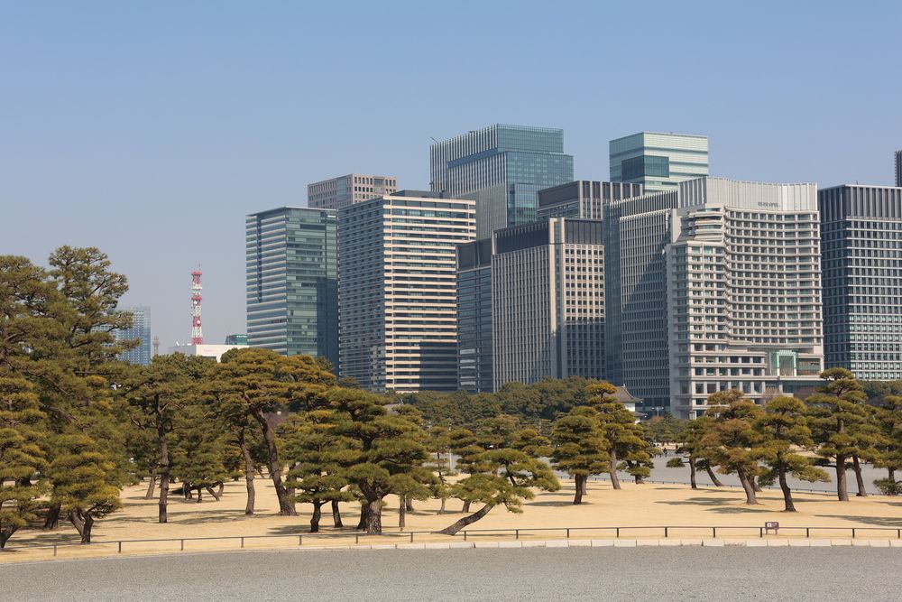 Photograph by Илья Смирнов