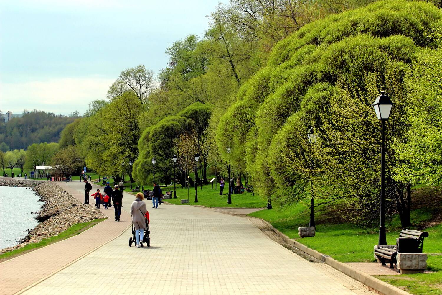 Photo #13053746