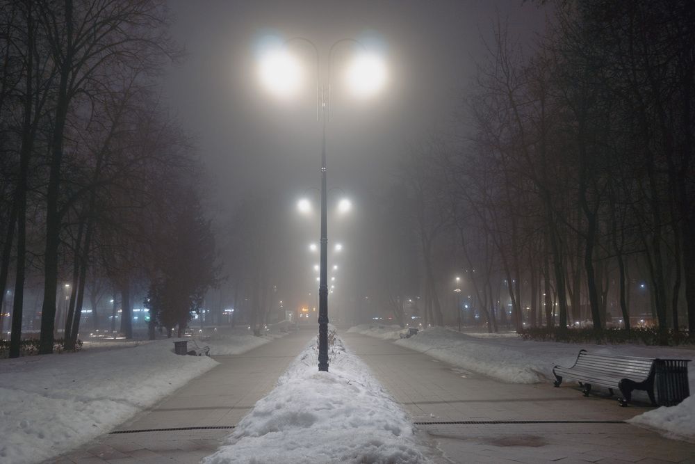 Photograph by Елена