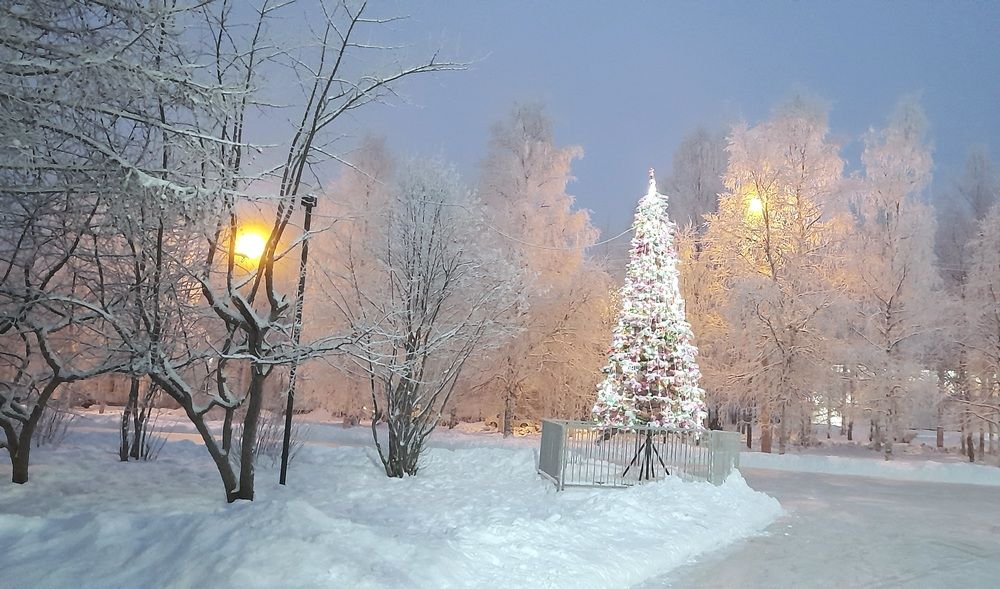 Photograph by Соколова Елена