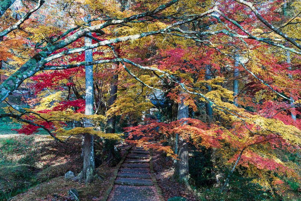 Фотография автора QUAN NGUYEN HUNG