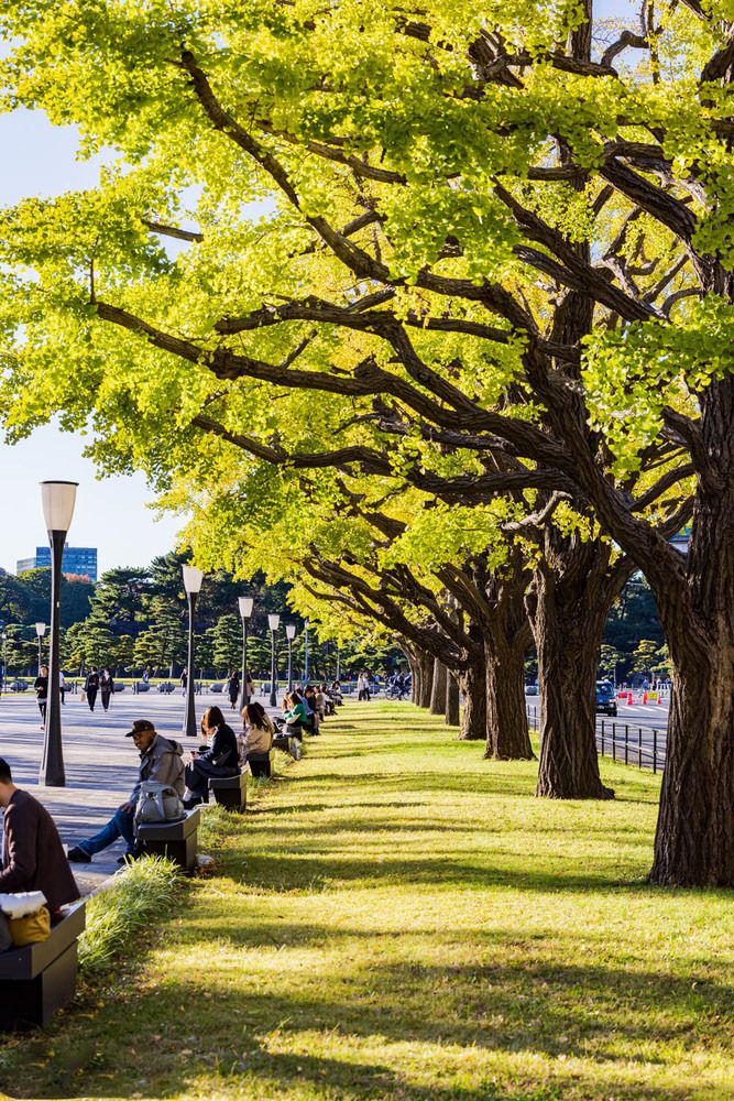 Фотография автора QUAN NGUYEN HUNG
