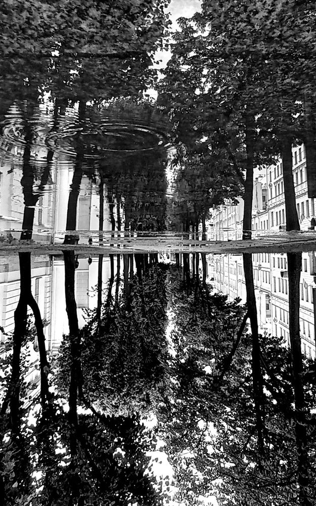 Photograph by Анастасия Останина